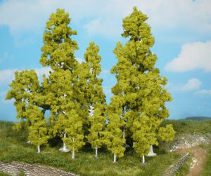 1135   2 Birken 18 cm