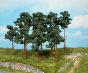 1150   2 Kiefern 16 cm