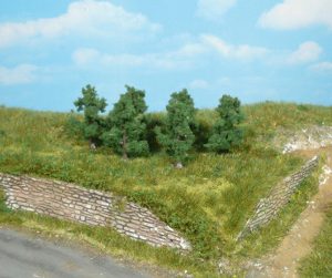 1162   6 Apfelbäume 4 cm