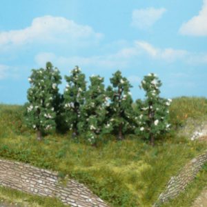 1172   6 Birnbäume blühend 6 cm