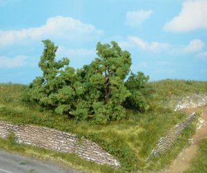 1179   5 Büsche u. Sträucher 6-8 cm