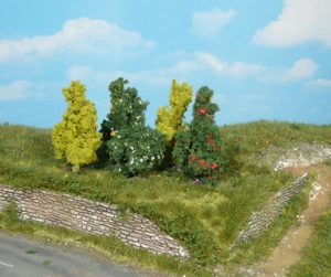 1182   5 Sträucher 6 cm