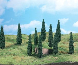 1190   8 Zypressen ca. 9 cm