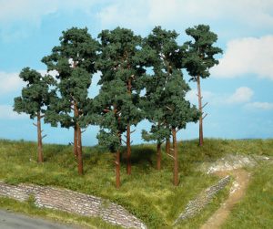 1413  14 Kiefern 10-16 cm