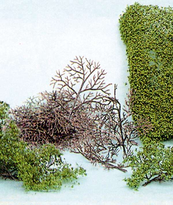 1530  15 Büsche 2-6 cm + HEKI flor