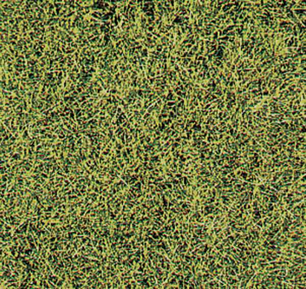 1574  HEKI decovlies Wildgras, Savanne 28x14 cm