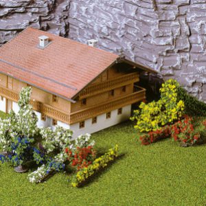 1705   28 Büsche 1-6 cm