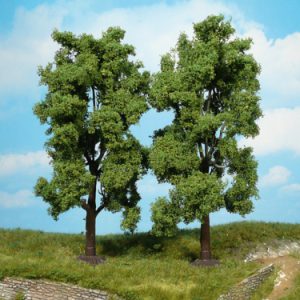 1707   2 Eschen 19 cm