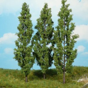 1718   3 Pappeln 18 cm