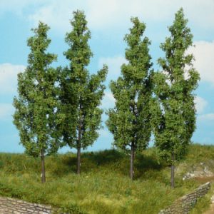 1719   4 Pappeln 14 cm