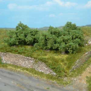 1735   8 Büsche 4 cm