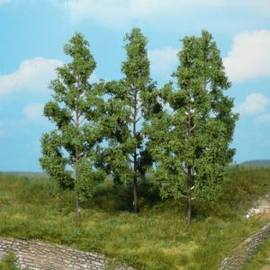 1737   4 Pappeln z. Stecken 13 cm