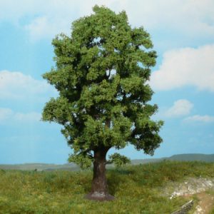 1740   1 Eiche 18 cm