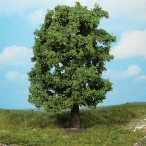 1741  1 Kastanie 20 cm