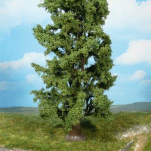 1742   1 Felsenahorn 30 cm