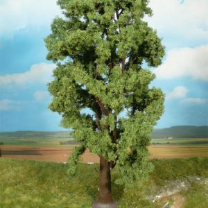 1743   1 Bergahorn 35 cm