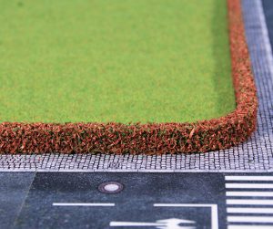 1750    2 Berberitzenhecken 12 x 7 mm, je 50 cm lang