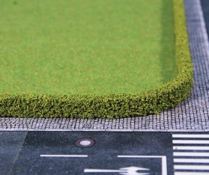 1751    2 Ligusterhecken 12 x 7 mm, je 50 cm lang