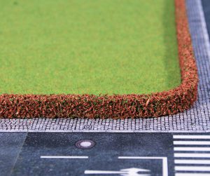 1755    2 Berberitzenhecken 25 x 7 mm, je 50 cm lang