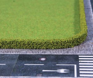 1756    2 Ligusterhecken 25 x 7 mm, je 50 cm lang