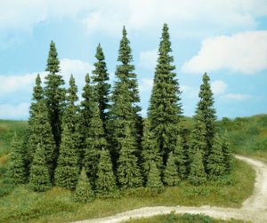 2181   25 Stecktannen 5-12- cm