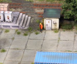 1801    100 Grasbüschel Sommer, 5-6 mm