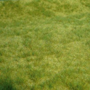 1841   realistic Wildgras Frühlingsgras, 45x17 cm