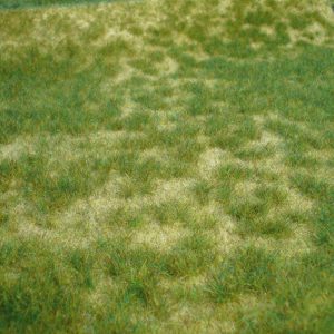 1842   realistic Wildgras Sommergras, 45x17 cm