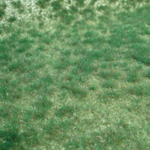 1843   realistic Wildgras Moorboden, 45x17 cm