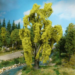 1901   1 Trauerweide 20 cm