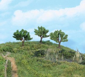 1911   3 Kopfweiden, 5,5 cm