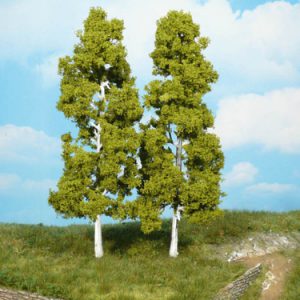 1920   2 Birken 18 cm