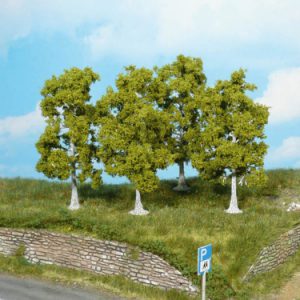 1921   4 Birken 11 cm