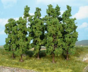 1925   10 Buchen 11-13 cm