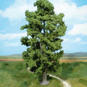 1942   1 Felsenahorn 30 cm