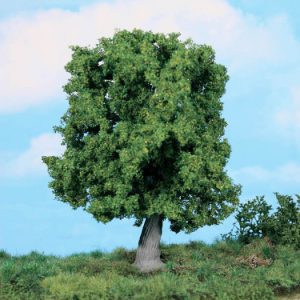 1945   1 knorrige Eiche 18 cm