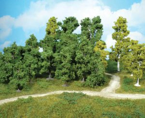 1950   10 Laubbäume 8-12 cm