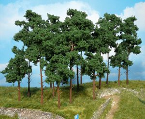 1953   9 Kiefern 10-16 cm