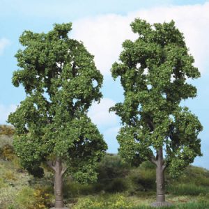 1980   2 Kastanien 20 cm