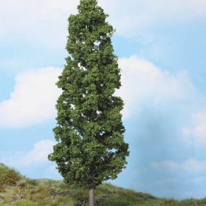 1982   1 Buche 27 cm