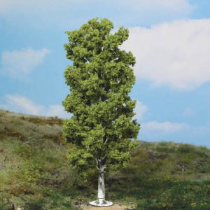 1984   1 Birke 20 cm