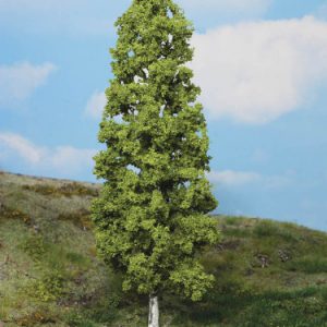 1985   1 Birke 27 cm