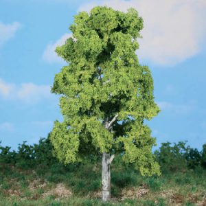 1986   1 Birke 18 cm