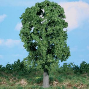 1987   1 Eiche 20 cm