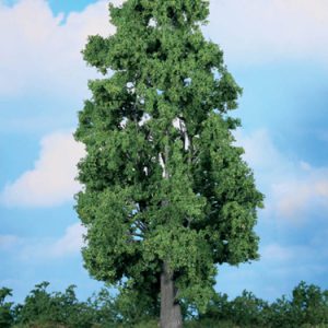 1988   1 Kastanie 30 cm