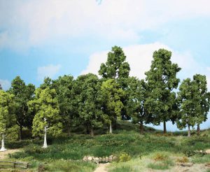 1991   15 Laubbäume 10-18 cm