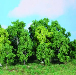 1992   14 Laubbäume 5-12 cm