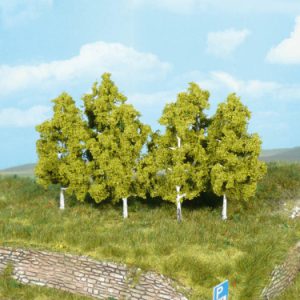 1998   6 Birken z. Stecken 8 cm