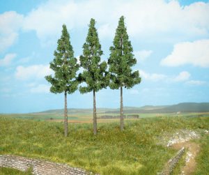 2124   3 Hochstammfichten 17 cm