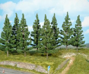 2127   8 Fichten 17 cm